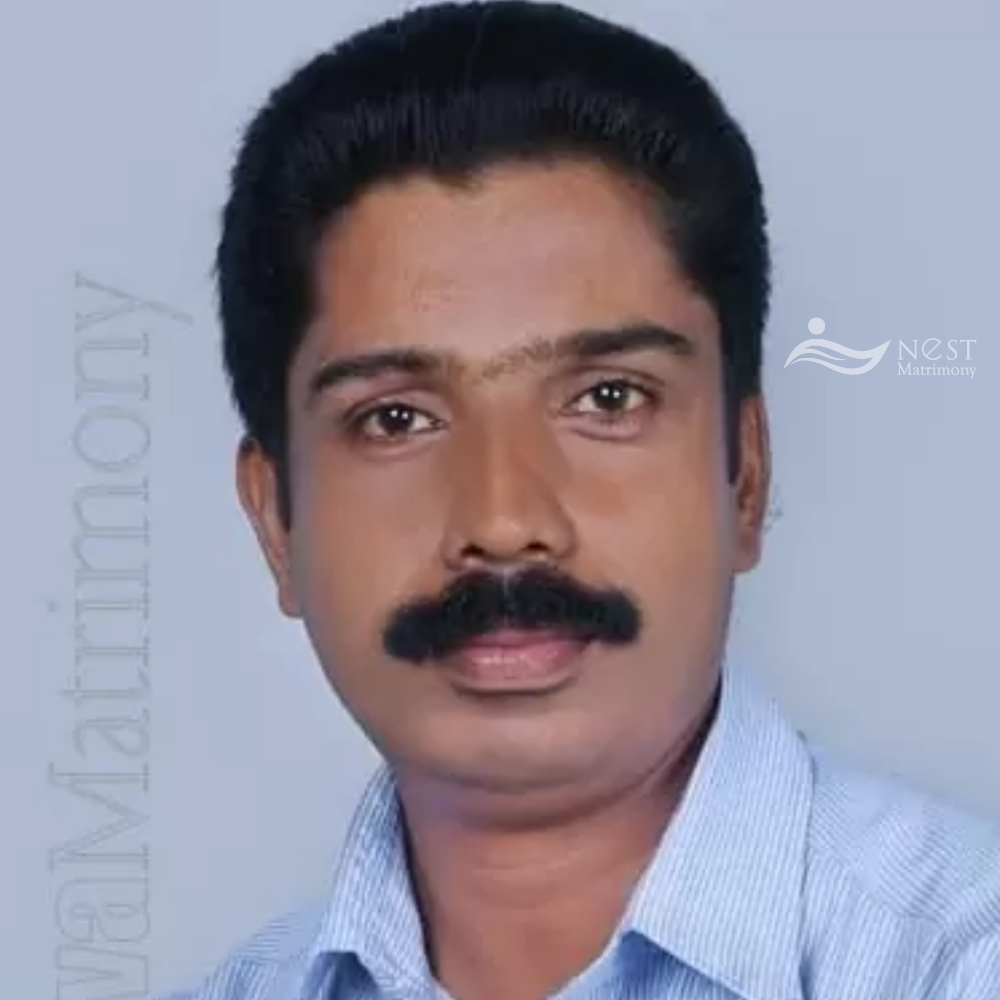 Anil